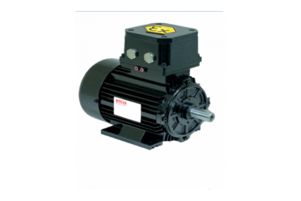 Motores ATEX à prova de chamas